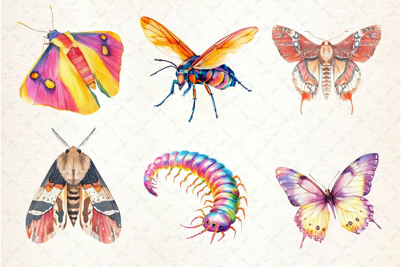 Bugs Clipart Bundle - CraftNest - Digital Crafting and Art