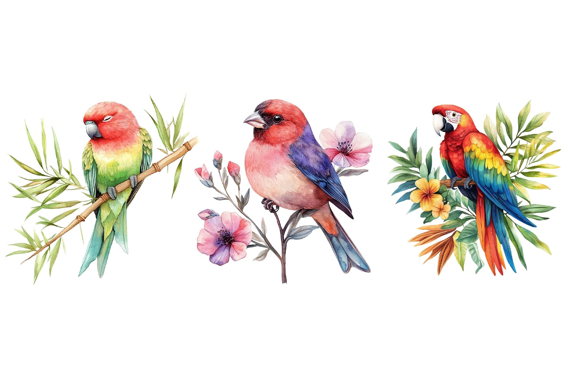 Tropical Birds Garden Clipart Bundle - CraftNest - Digital Crafting and Art