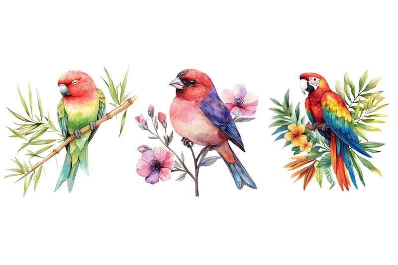 Tropical Birds Garden Clipart Bundle - CraftNest - Digital Crafting and Art