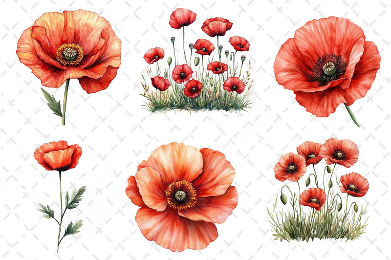 Poppy Flowers Clipart Bundle - CraftNest - Digital Crafting and Art