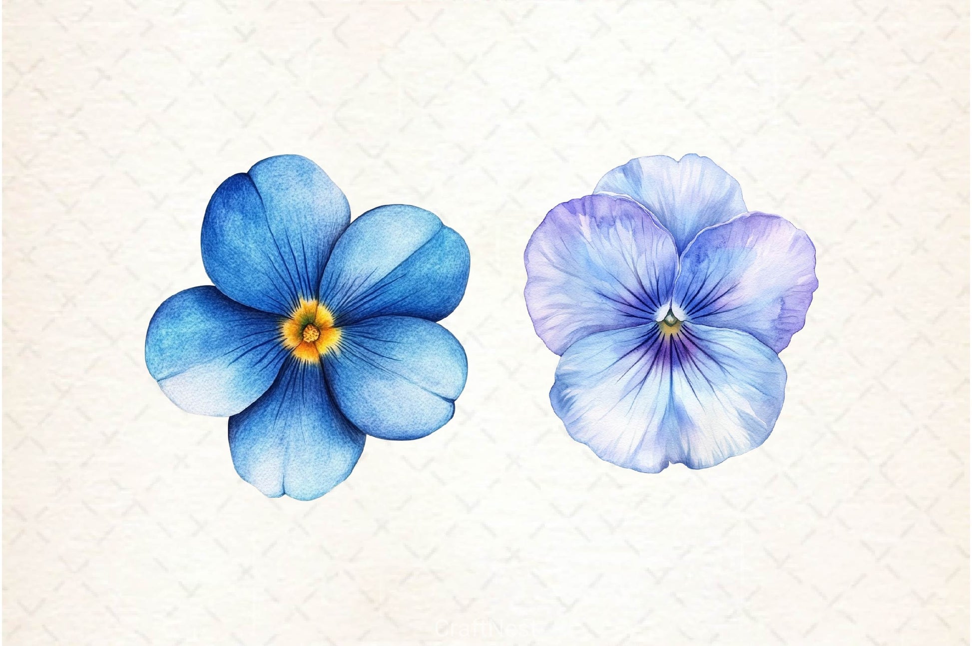 Viola Flower Bloom Clipart Bundle 2 - CraftNest - Digital Crafting and Art