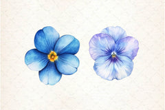 Viola Flower Bloom Clipart Bundle 2 - CraftNest - Digital Crafting and Art