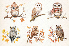 Autumn Owl Clipart Bundle 3 - CraftNest - Digital Crafting and Art