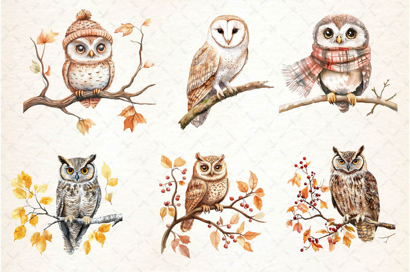 Autumn Owl Clipart Bundle 3 - CraftNest - Digital Crafting and Art