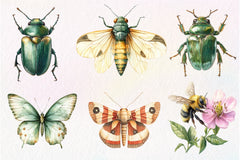 Vintage Spring Insect Clipart Bundle 56 - CraftNest - Digital Crafting and Art