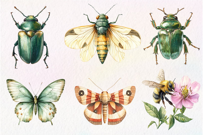 Vintage Spring Insect Clipart Bundle 56 - CraftNest - Digital Crafting and Art