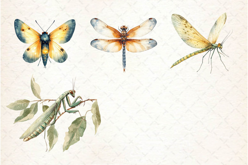 Vintage Spring Insect Clipart Bundle 5 - CraftNest - Digital Crafting and Art