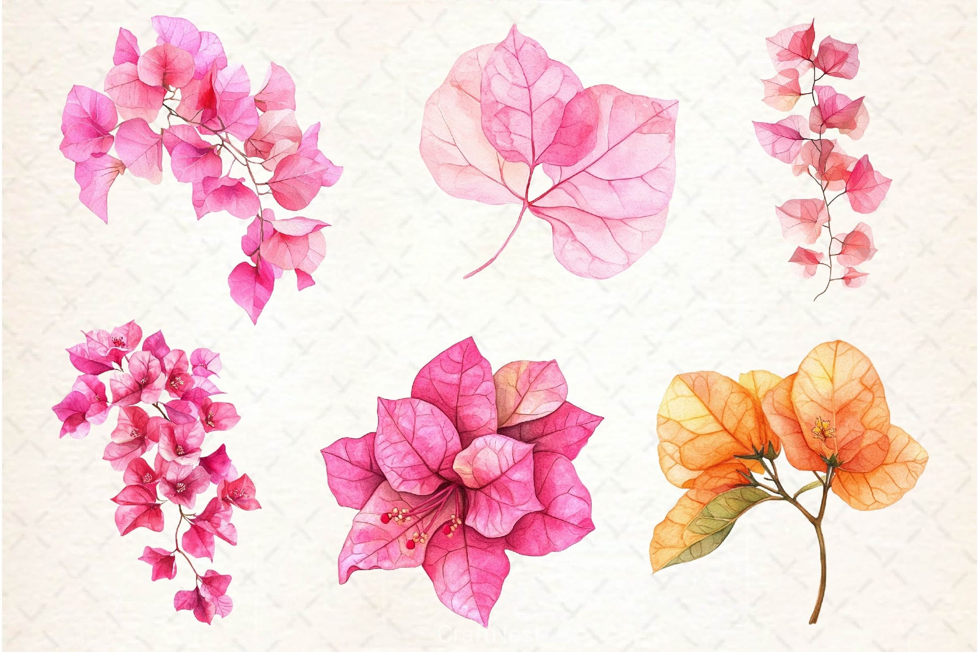 Bougainvillea Flower Clipart Bundle 5 - CraftNest - Digital Crafting and Art