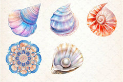 Summer Seashell Clipart Bundle 2 - CraftNest - Digital Crafting and Art