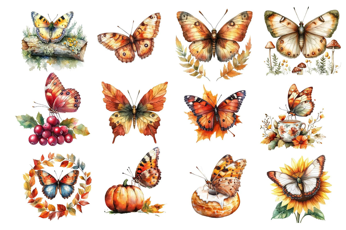 Fall Butterfly Vector Fall Butterfly Garden Clipart Bundle