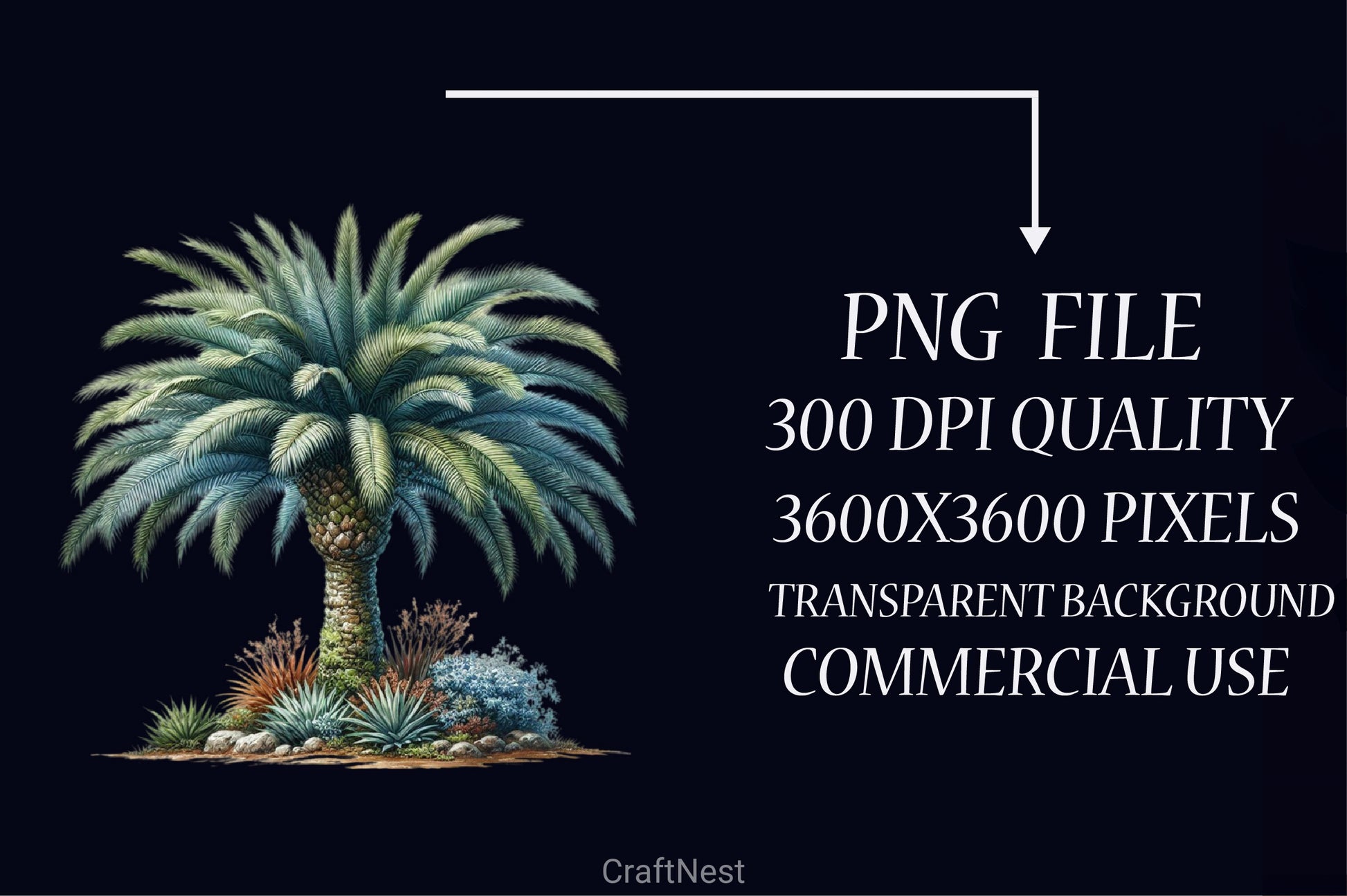 Palm Tree Clipart Bundle - CraftNest - Digital Crafting and Art