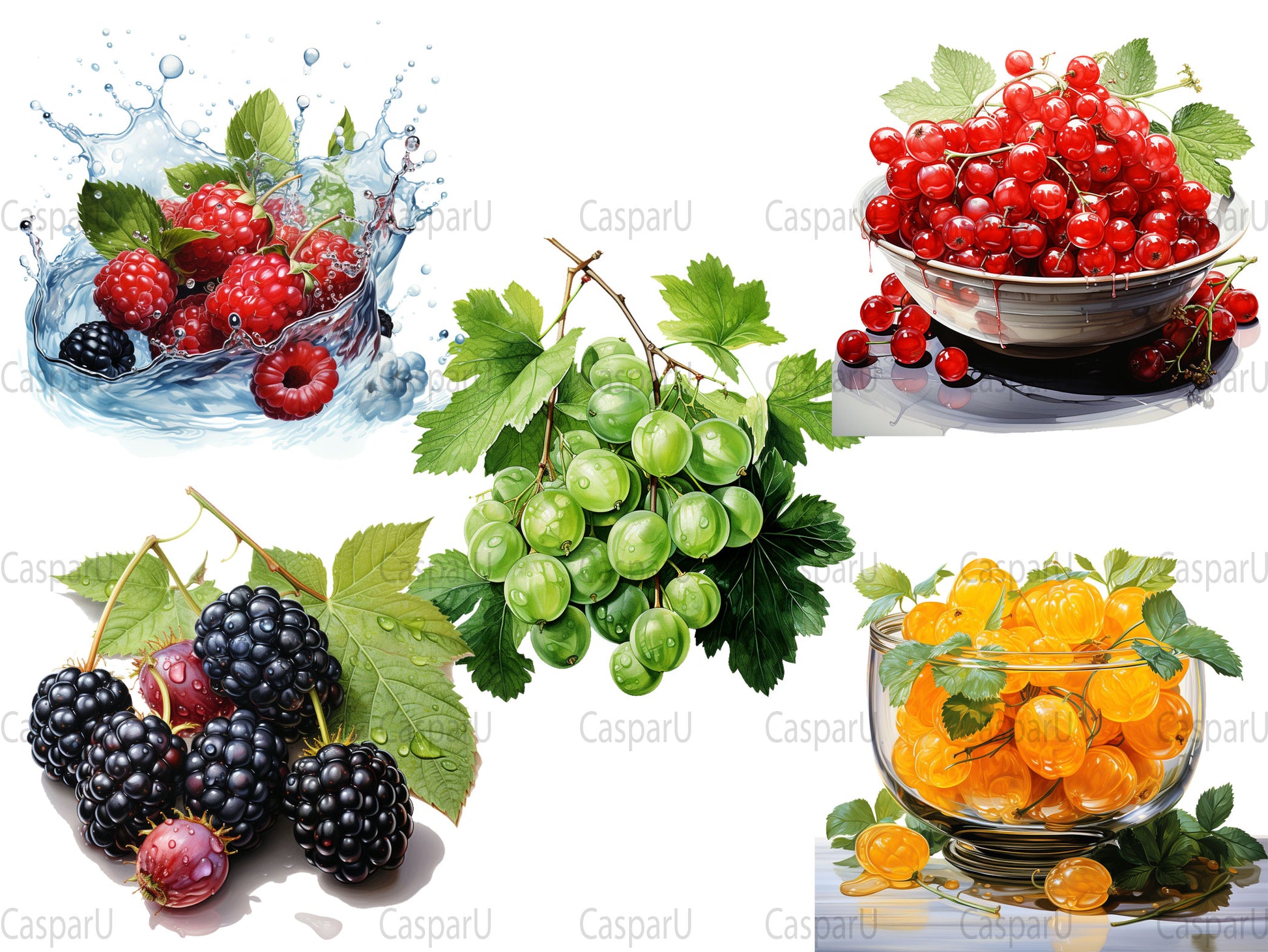 Berry Collections Clipart - CraftNest