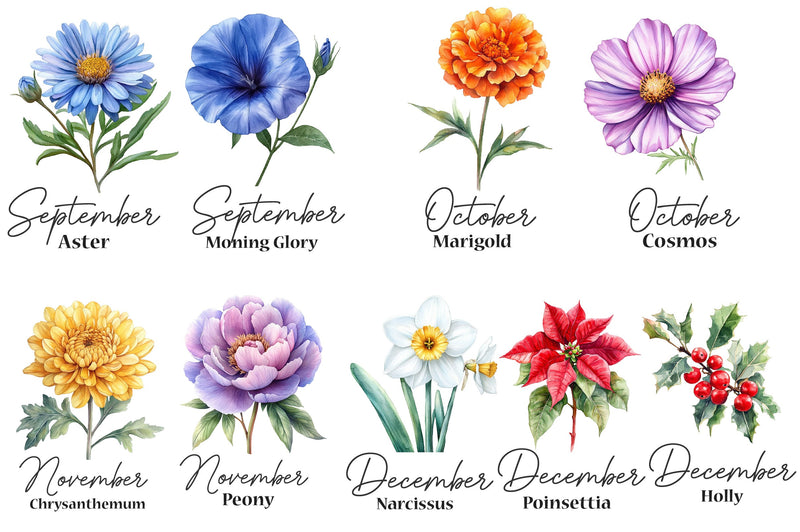 26 Birth Month Flowers Clipart Bundle - CraftNest - Digital Crafting and Art