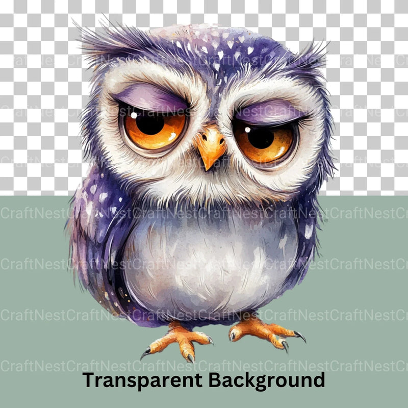 Owls Clipart Bundle - CraftNest - Digital Crafting and Art