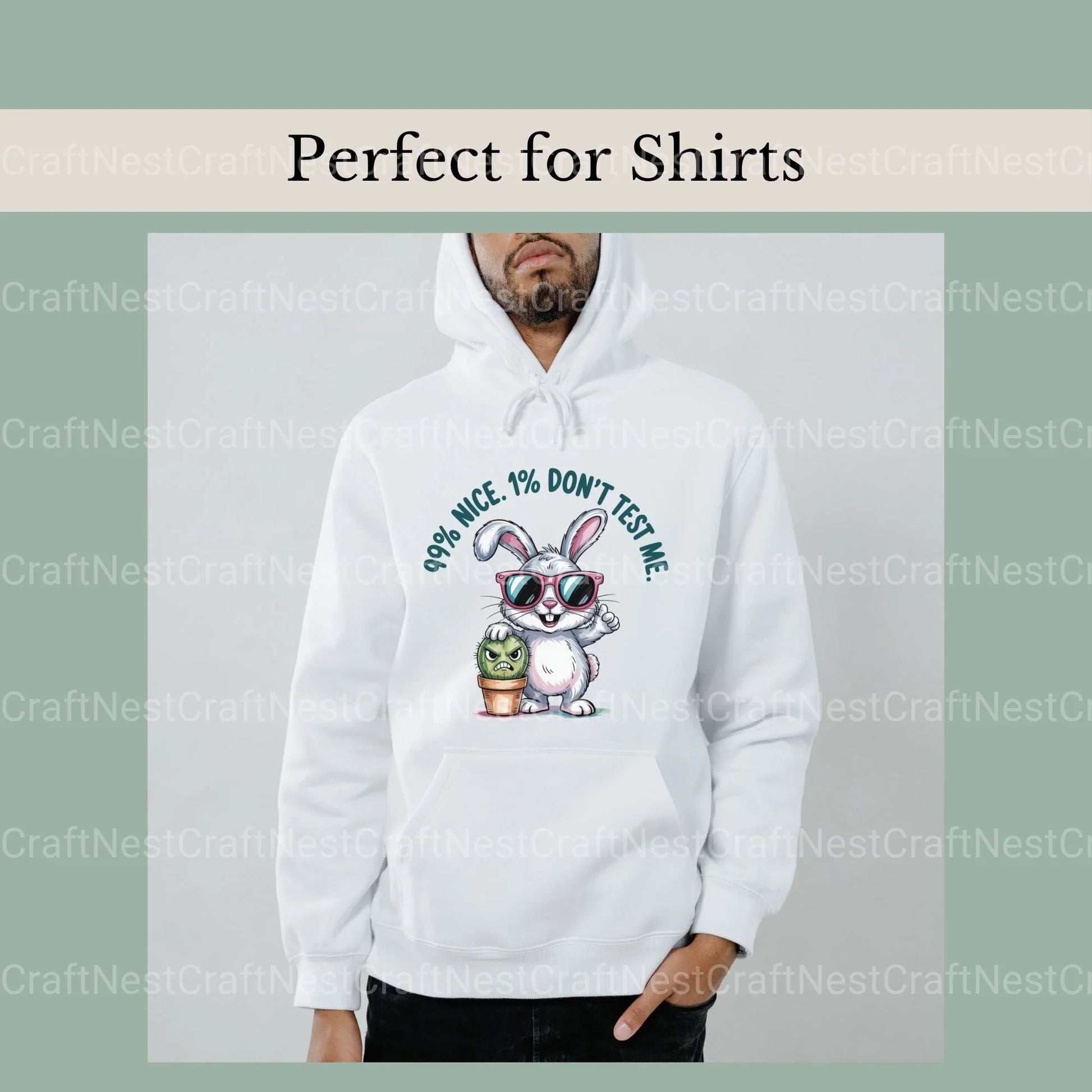 Rabbit Cactus Shirt Design Clipart Bundle - CraftNest - Digital Crafting and Art