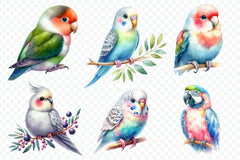 Lovebirds Set Clipart Bundle - CraftNest - Digital Crafting and Art