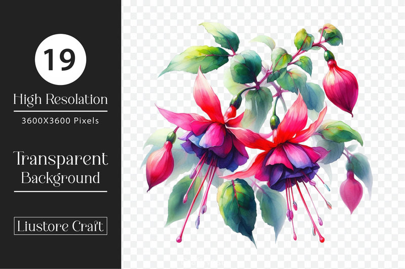 Fuchsia Flowers Clipart Bundle - CraftNest - Digital Crafting and Art