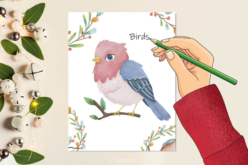 Birds Clipart Bundle - CraftNest - Digital Crafting and Art