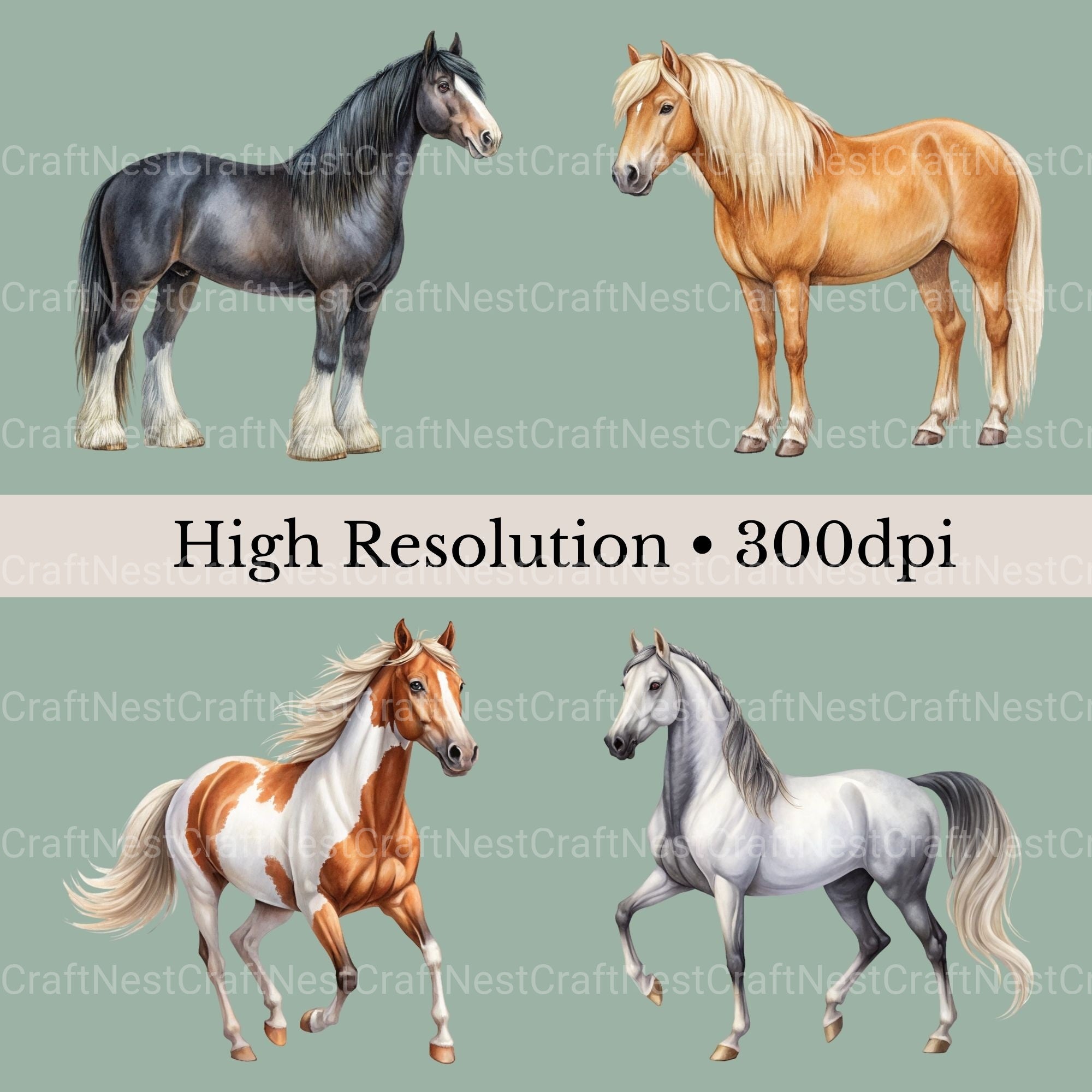 Horses Clipart Bundle 3 - CraftNest - Digital Crafting and Art