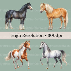 Horses Clipart Bundle 3 - CraftNest - Digital Crafting and Art