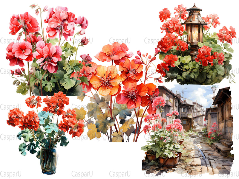 Fall Geraniums Clipart - CraftNest