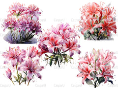 Nerine Novelties Clipart - CraftNest