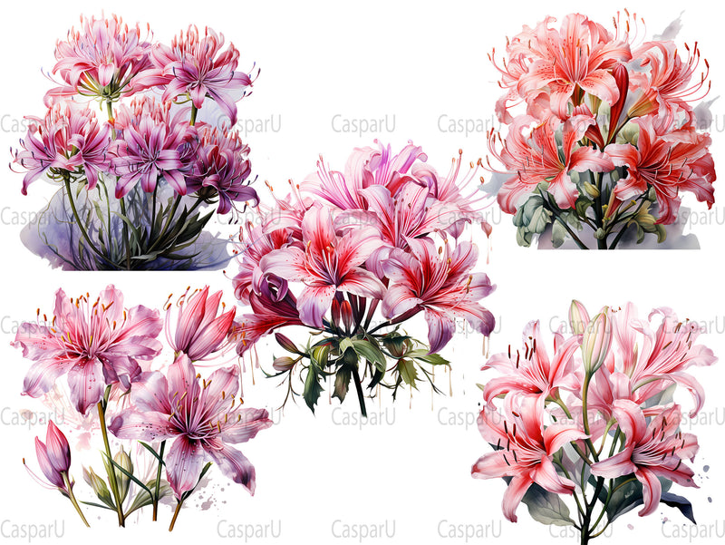 Nerine Novelties Clipart - CraftNest