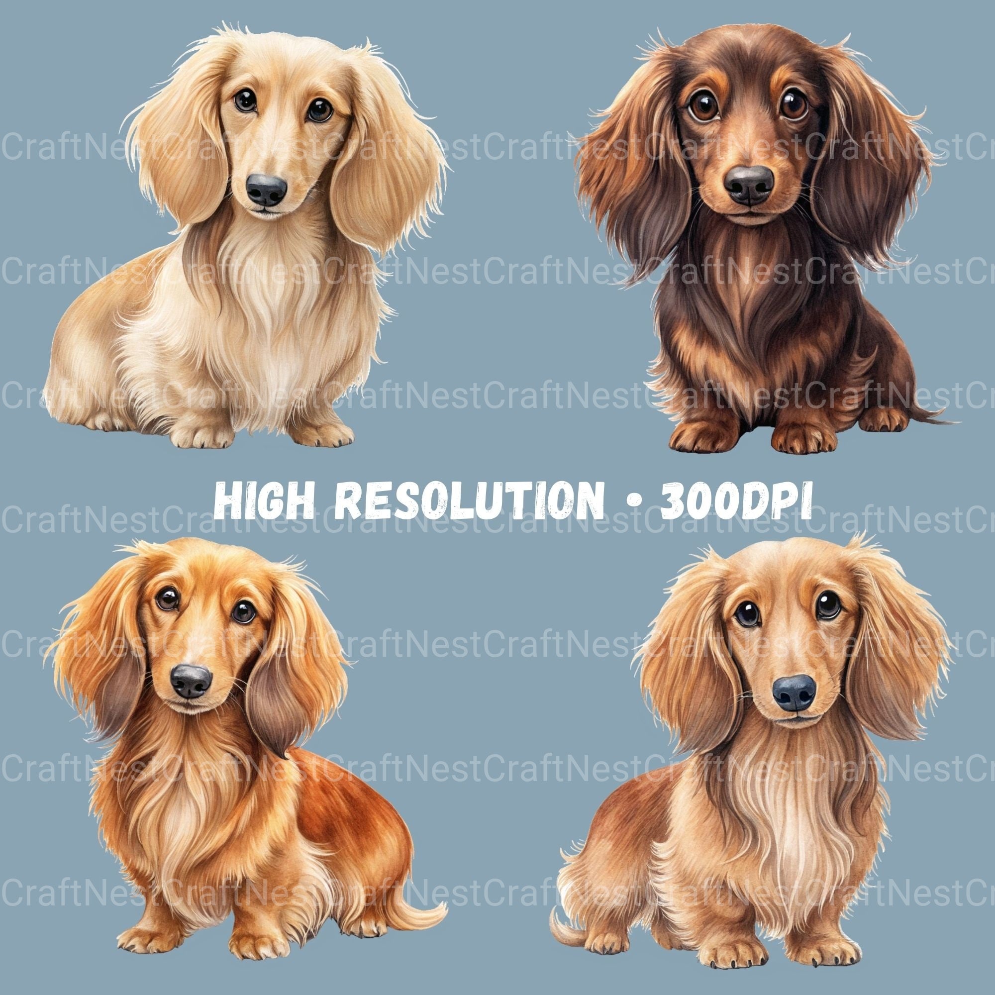Dachshund Long Hair Clipart Bundle - CraftNest - Digital Crafting and Art