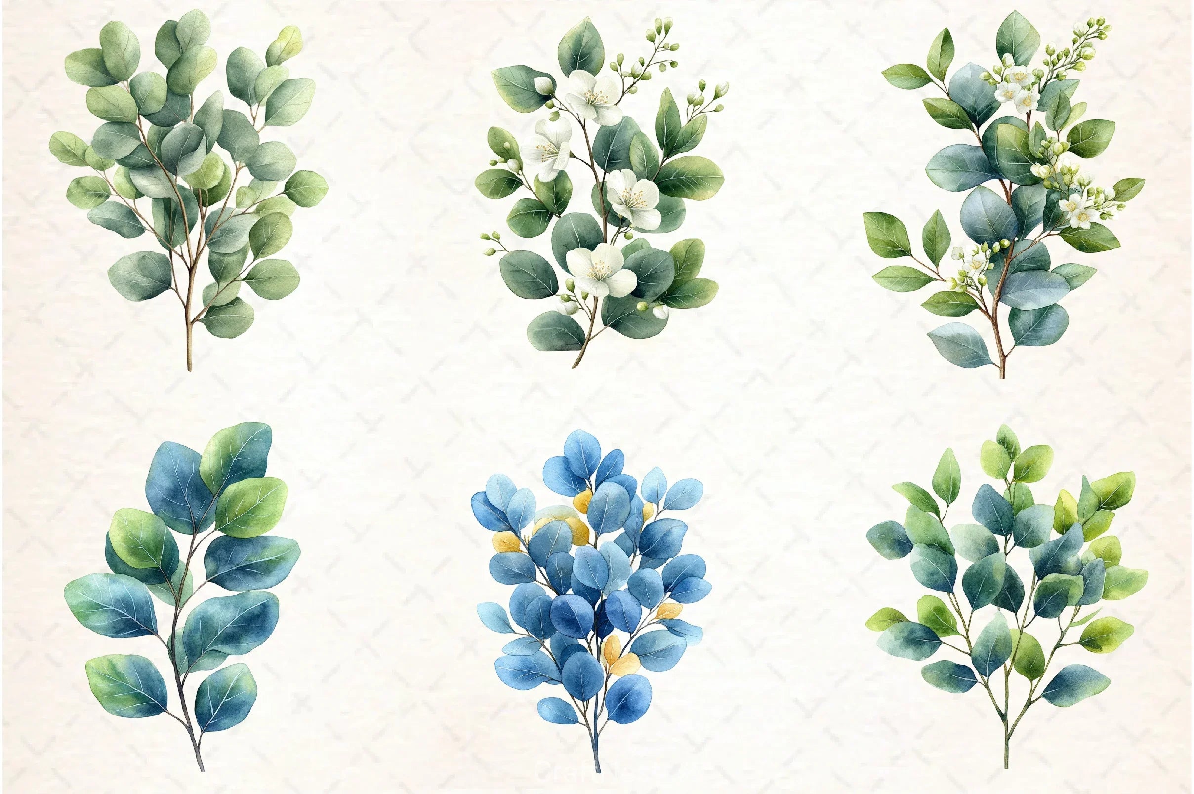 Eucalyptus Leaves Clipart Bundle 5 - CraftNest - Digital Crafting and Art