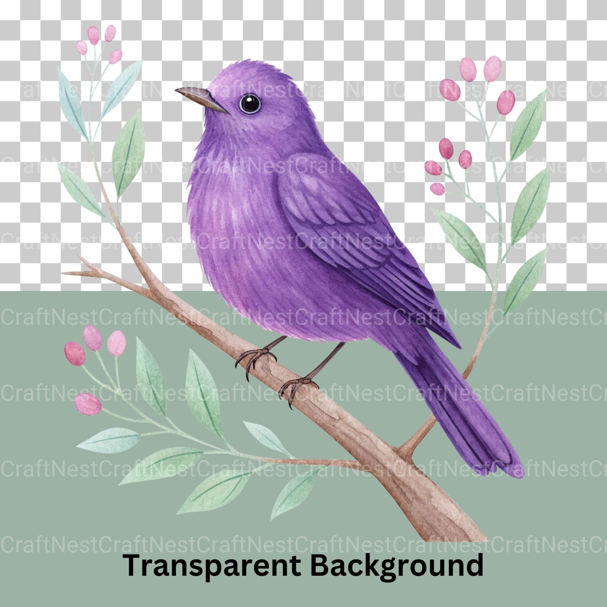 Birds Clipart Bundle 8 - CraftNest - Digital Crafting and Art