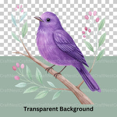 Birds Clipart Bundle 8 - CraftNest - Digital Crafting and Art