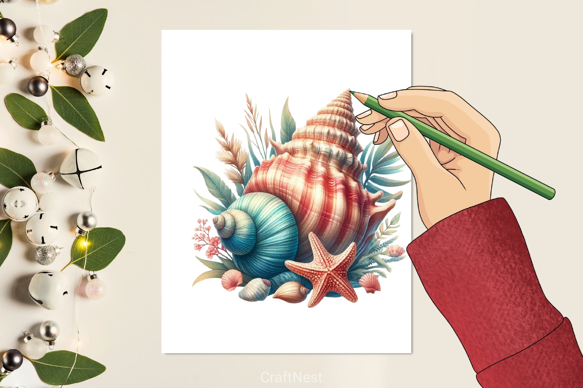 Seashells Clipart Bundle - CraftNest - Digital Crafting and Art