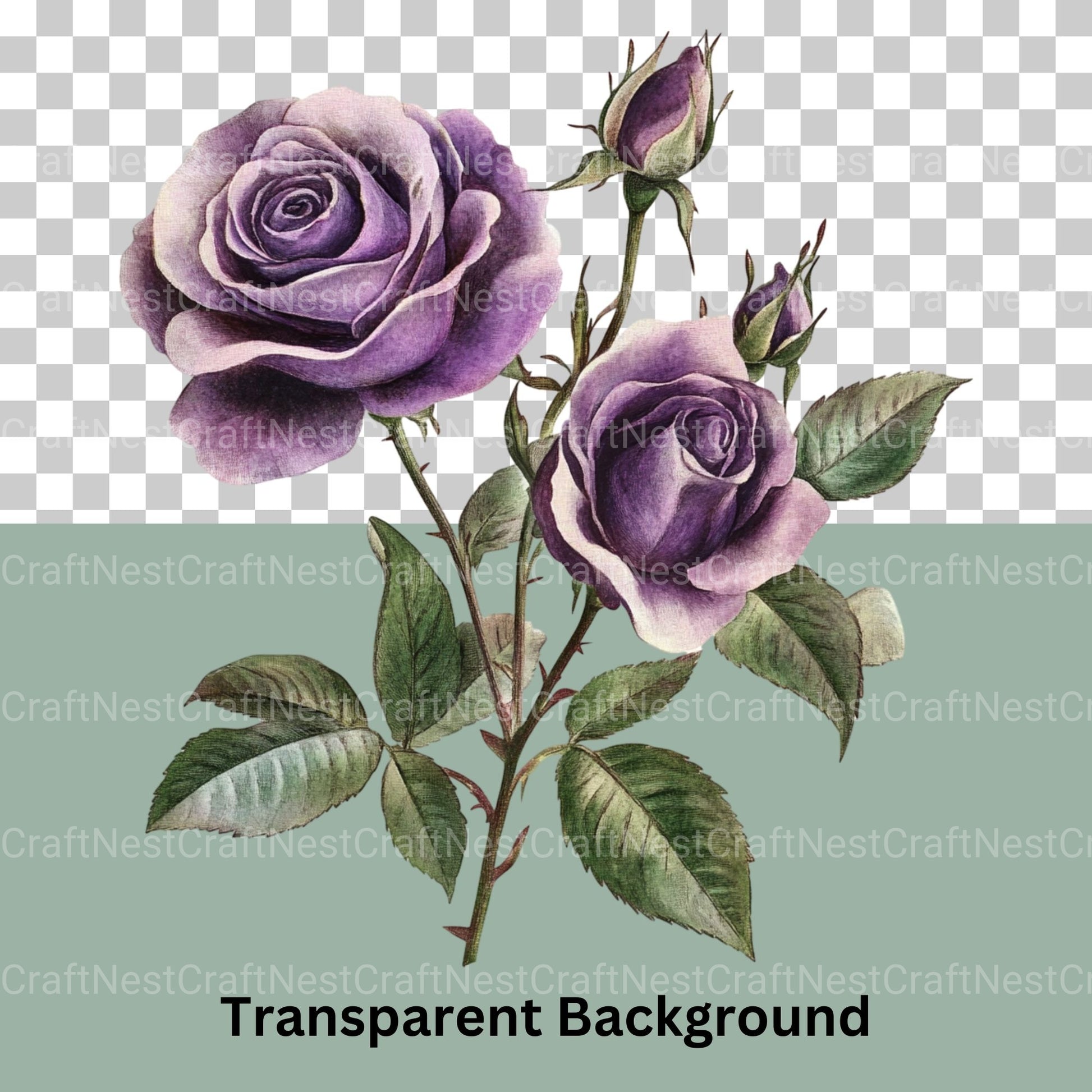 Vintage Botanical Clipart Bundle - CraftNest - Digital Crafting and Art