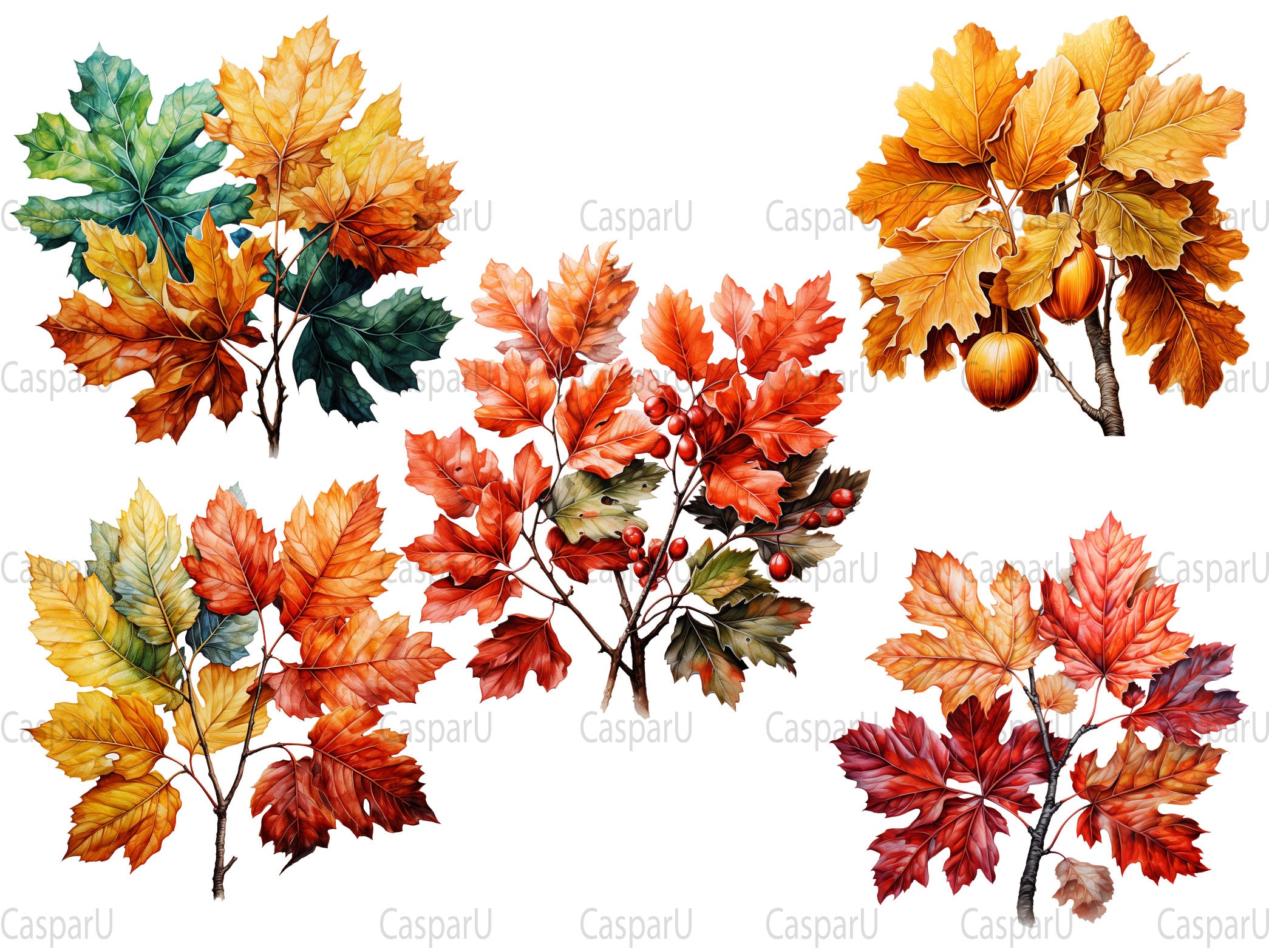 Autumn Leaves Collection Clipart - CraftNest