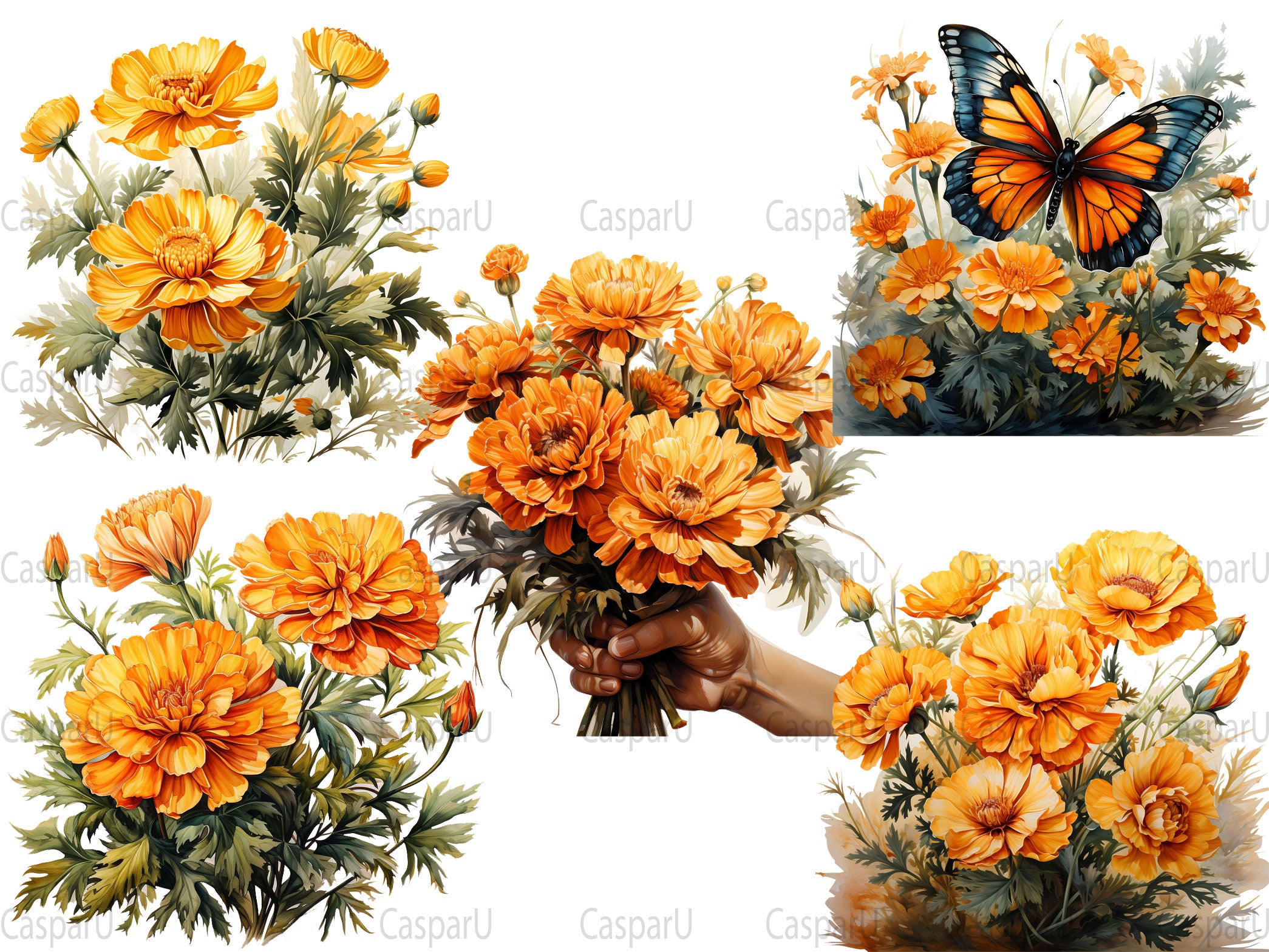 Marigold Magic Clipart - CraftNest