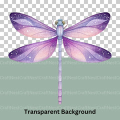 Dragonfly Clipart Bundle - CraftNest - Digital Crafting and Art