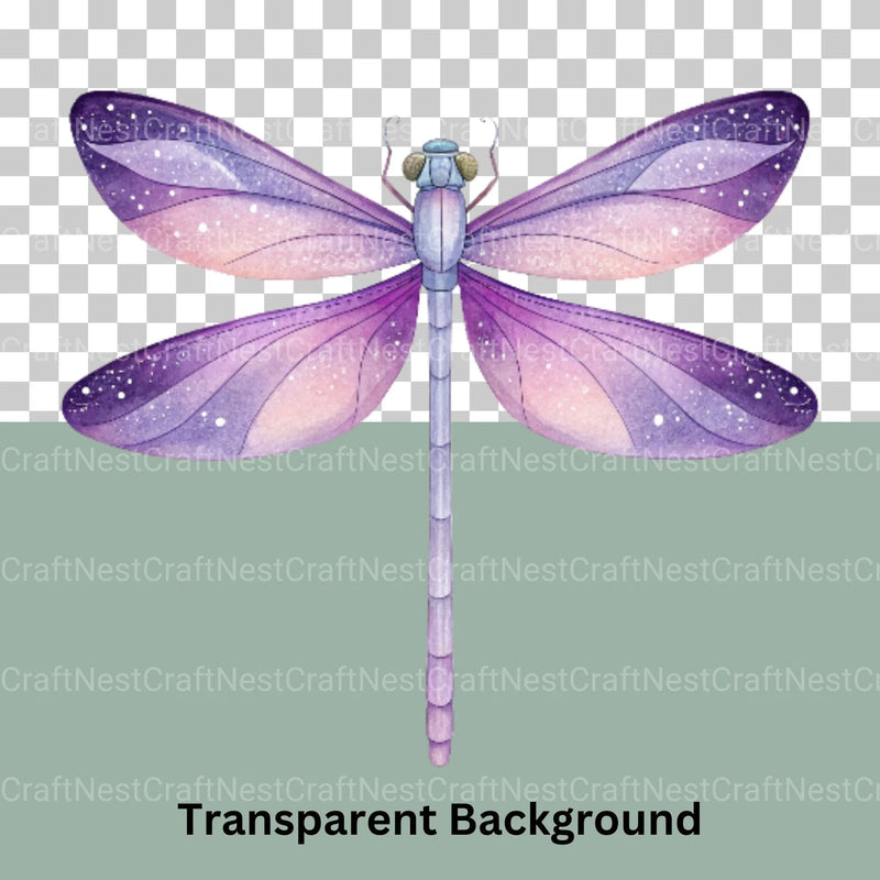 Dragonfly Clipart Bundle - CraftNest - Digital Crafting and Art