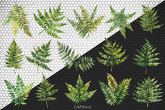 Fern Green Leaves Clipart Bundle - CraftNest - Digital Crafting and Art