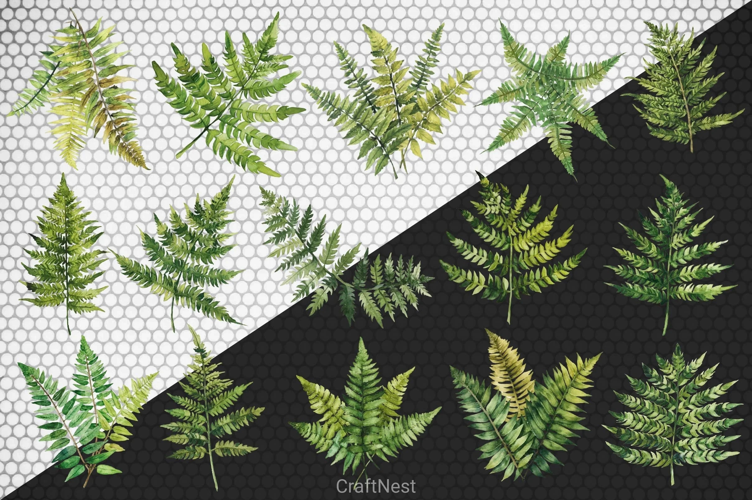 Fern Green Leaves Clipart Bundle - CraftNest - Digital Crafting and Art