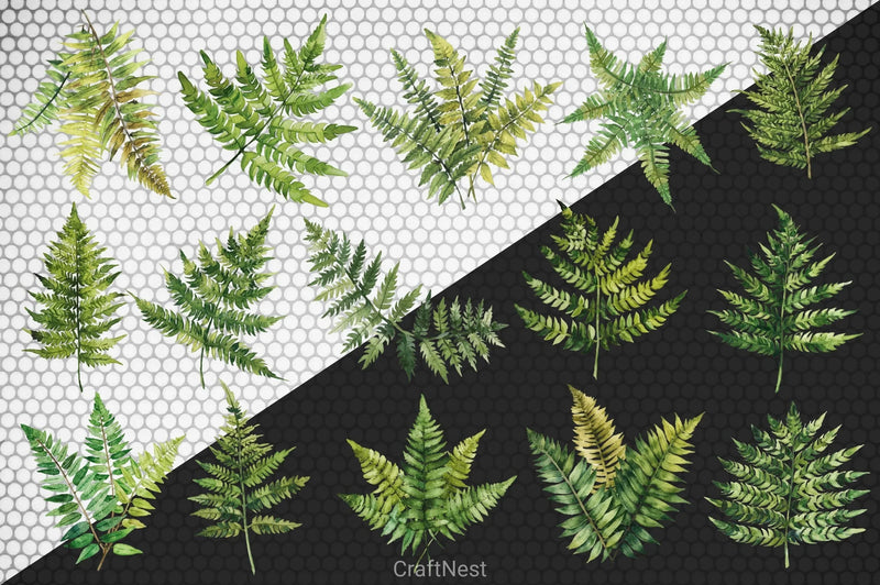 Fern Green Leaves Clipart Bundle - CraftNest - Digital Crafting and Art