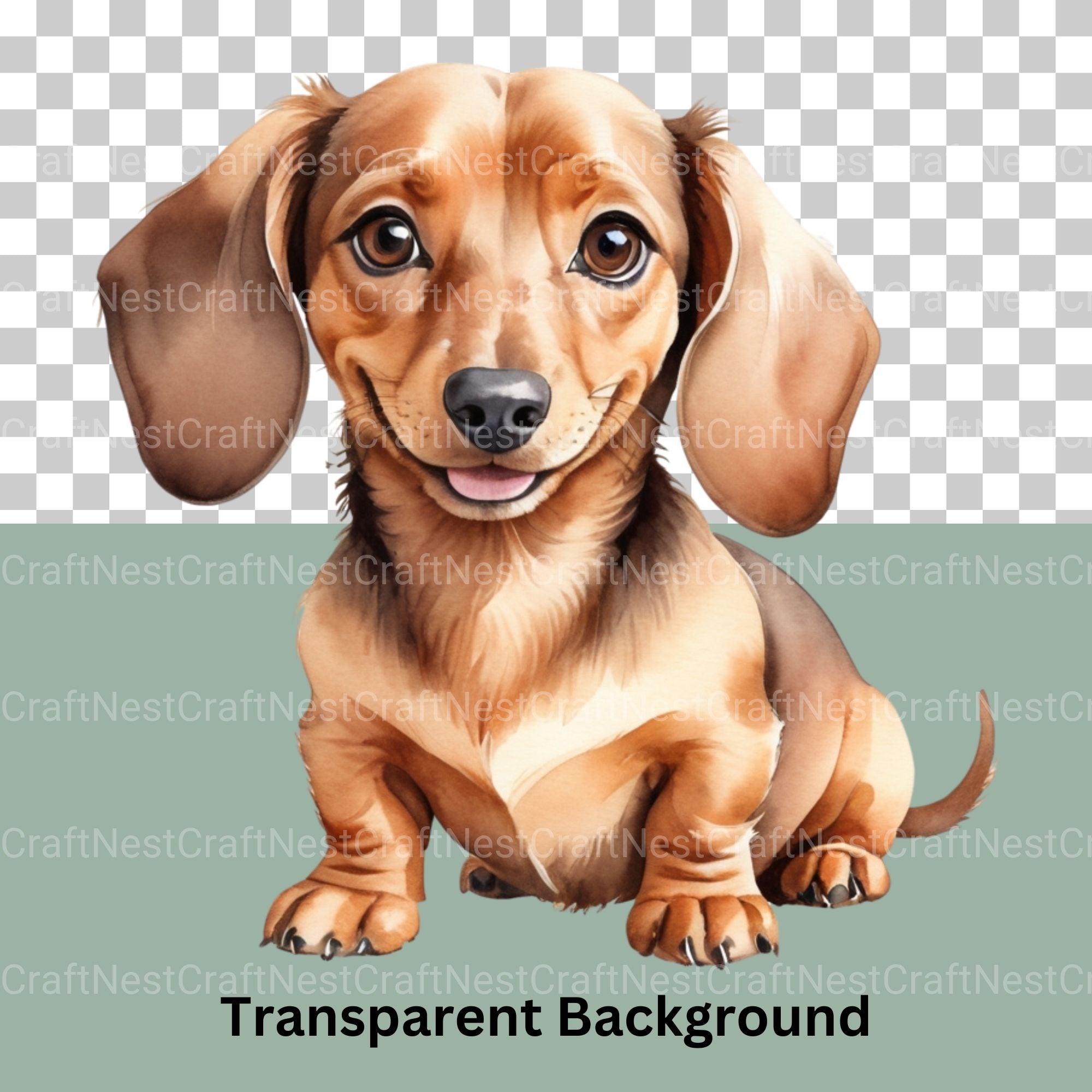 Dachshunds Updated Clipart Bundle - CraftNest - Digital Crafting and Art