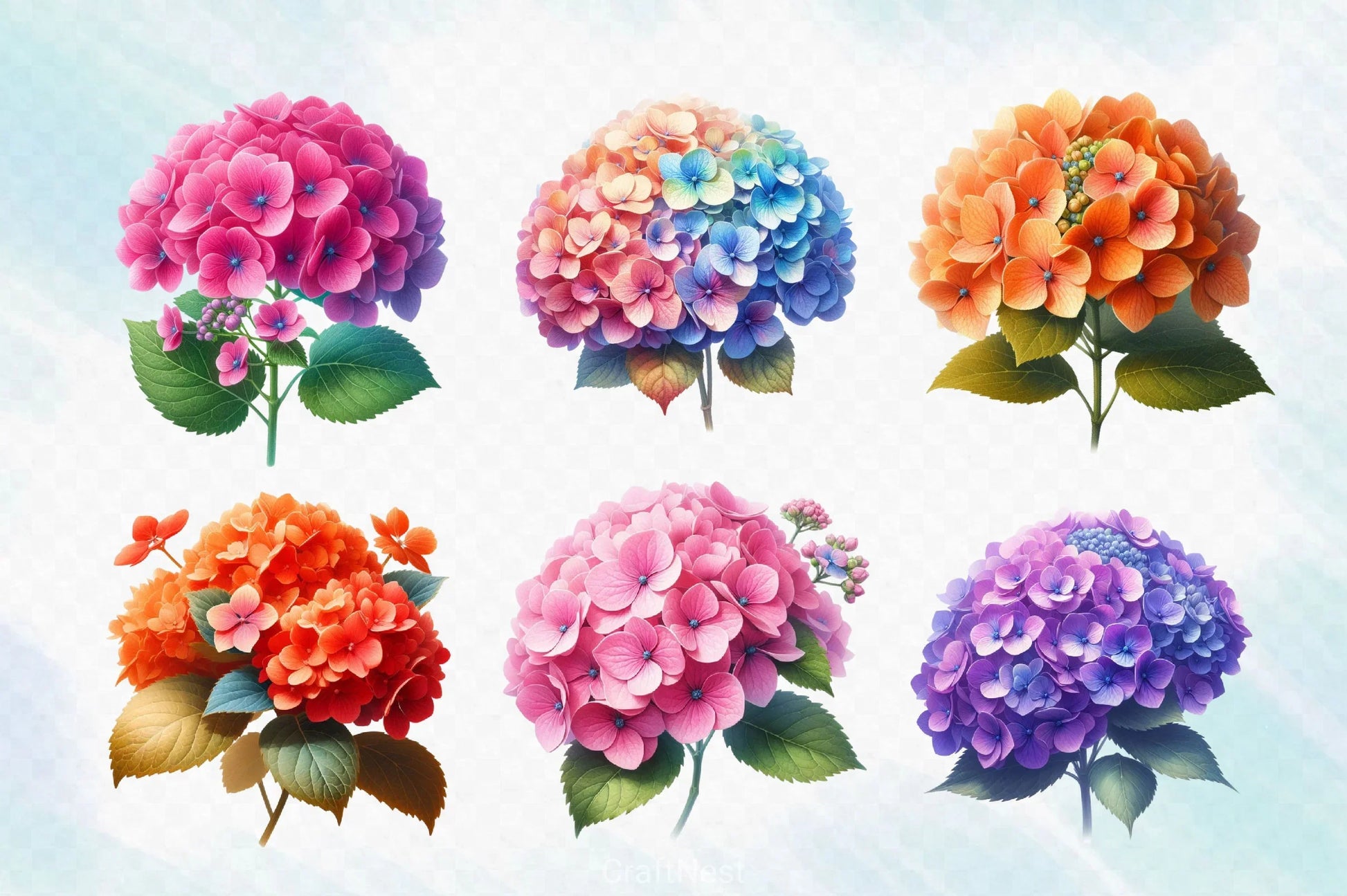 Hydrangea Flowers Clipart Bundle 6 - CraftNest - Digital Crafting and Art