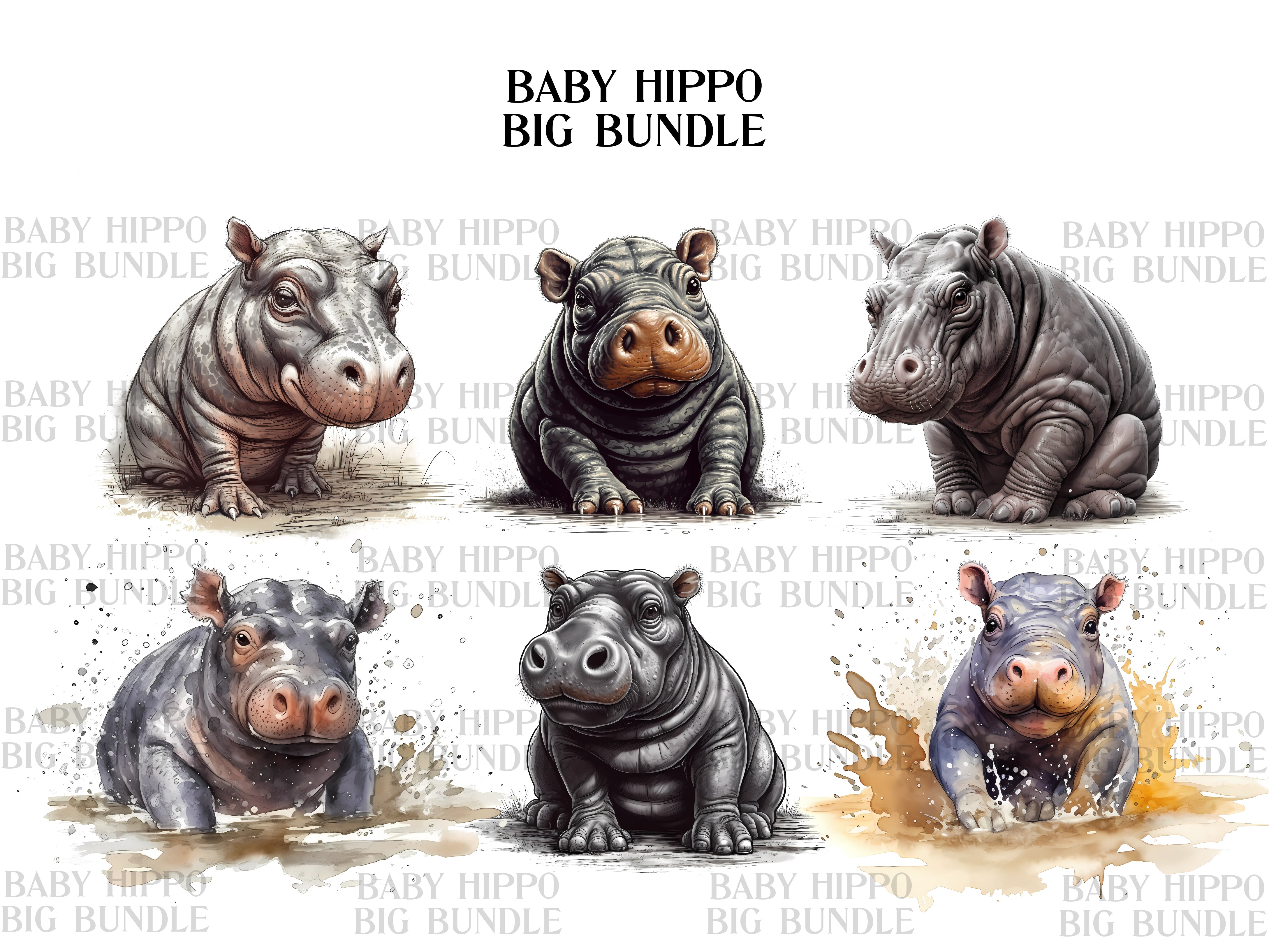 Baby Hippo Clipart - CraftNest