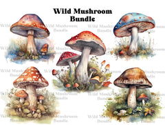 Wild Mushrooms Clipart - CraftNest