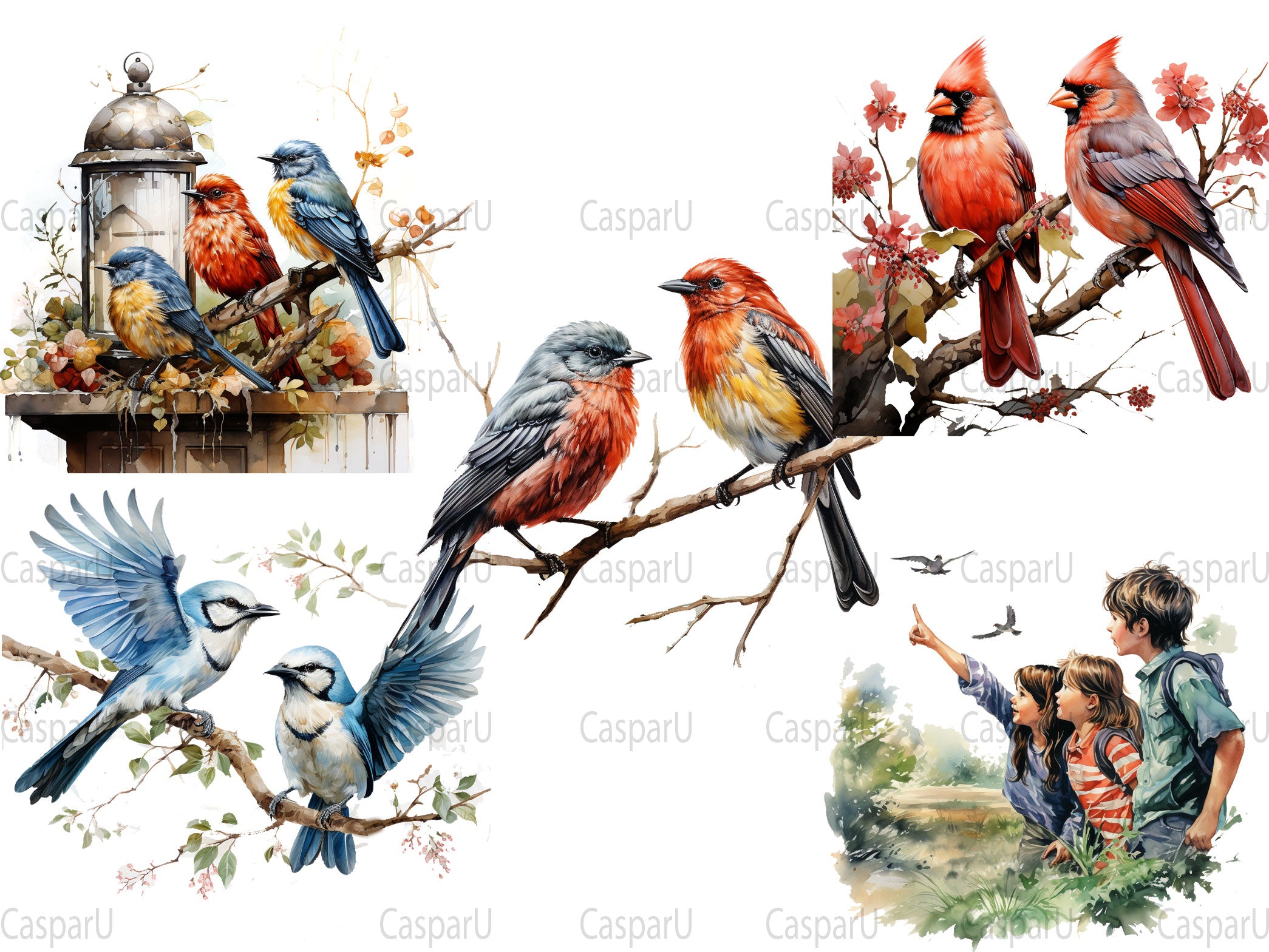 Bird Watching Clipart - CraftNest