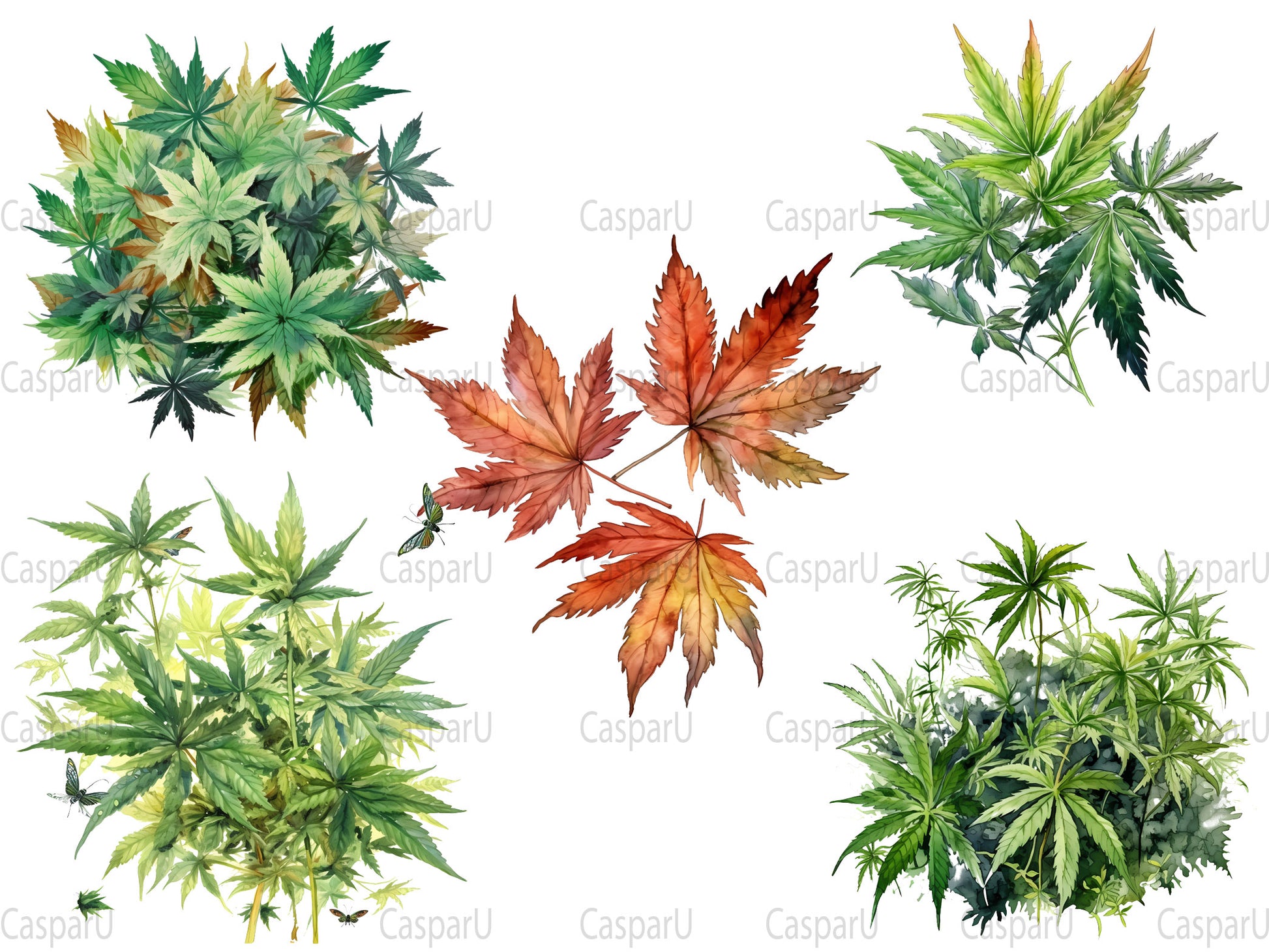 Cannabis Leaves Clipart - CraftNest