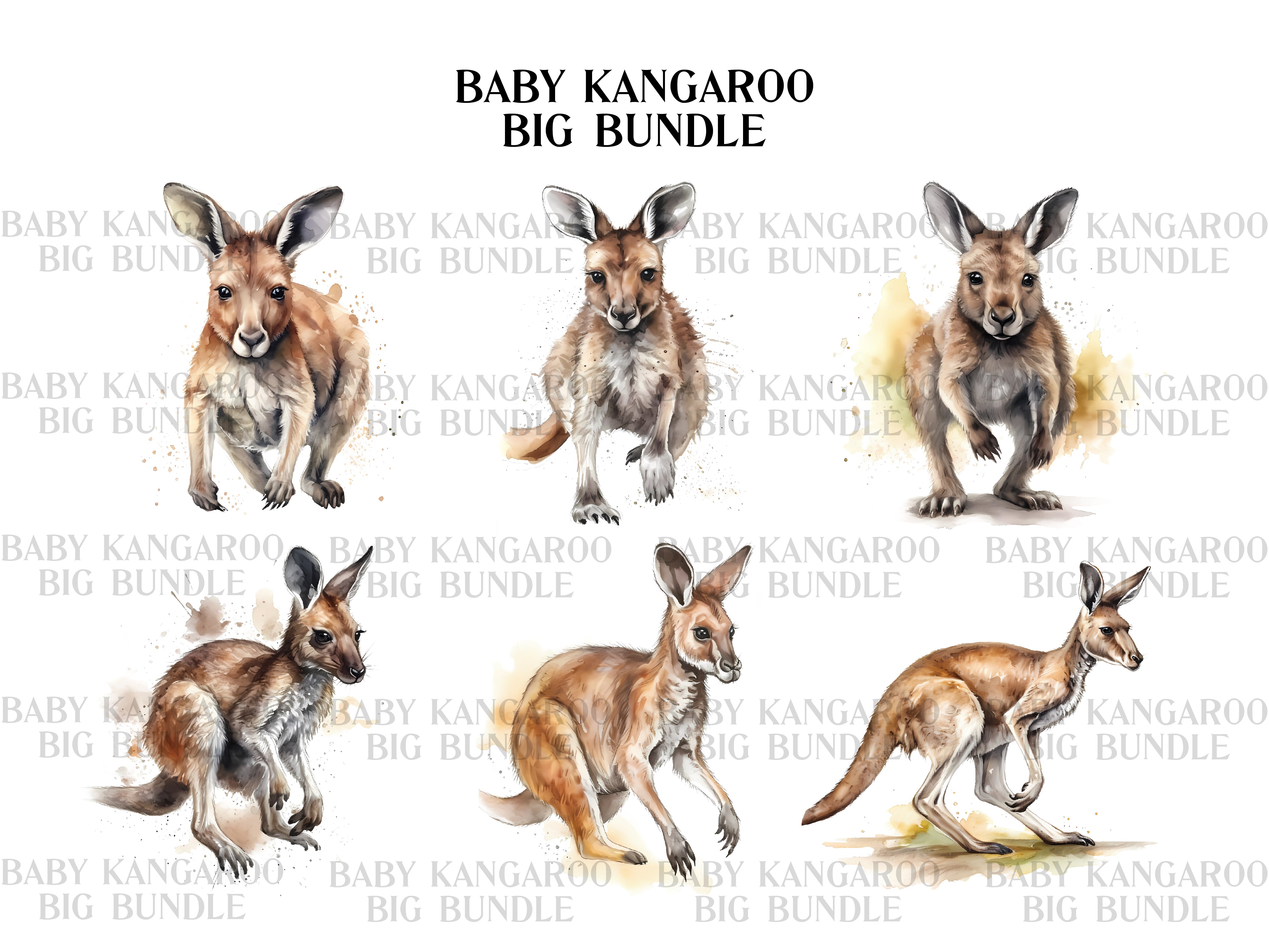 Baby Kangaroos Clipart - CraftNest