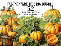 Pumpkin Varieties Clipart - CraftNest