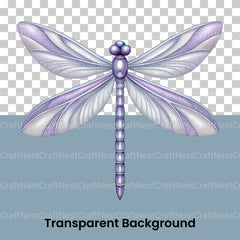 Dragonflies Clipart Bundle 2 - CraftNest - Digital Crafting and Art