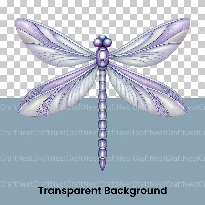 Dragonflies Clipart Bundle 2 - CraftNest - Digital Crafting and Art